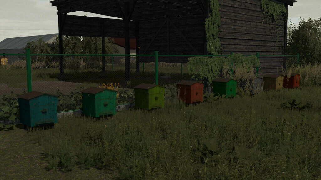 Pack Of Beehives