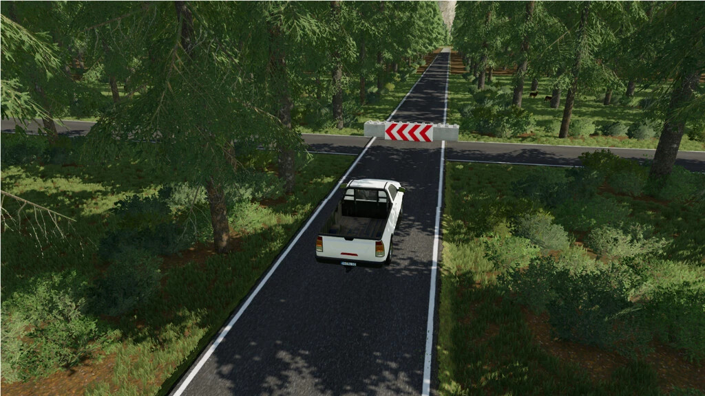 Rally Track Pack