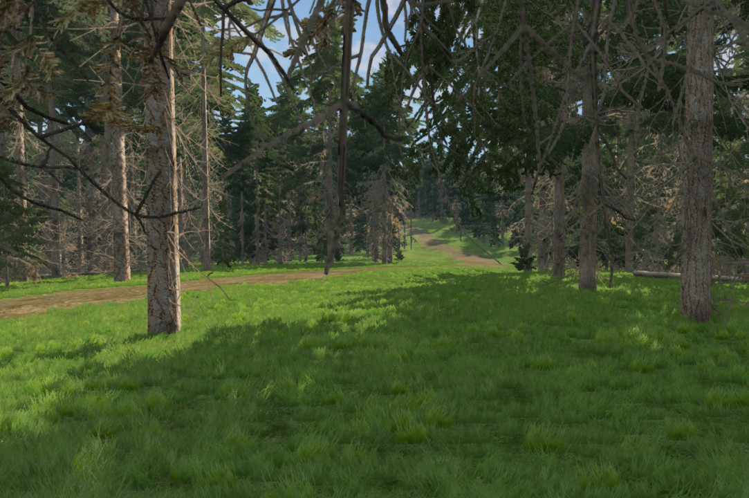 Rallying Dream