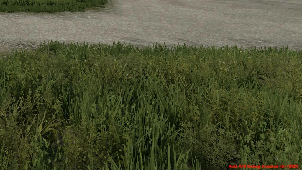 Anti AFK