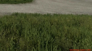 Anti AFK v 1.0 thumbnail 2