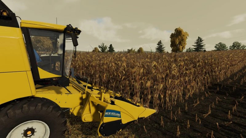 FS22 Low grain maize
