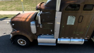 Wellsfargo Skin 9900i 1.1 thumbnail 5