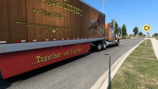 Wellsfargo Skin 9900i 1.1 thumbnail 3