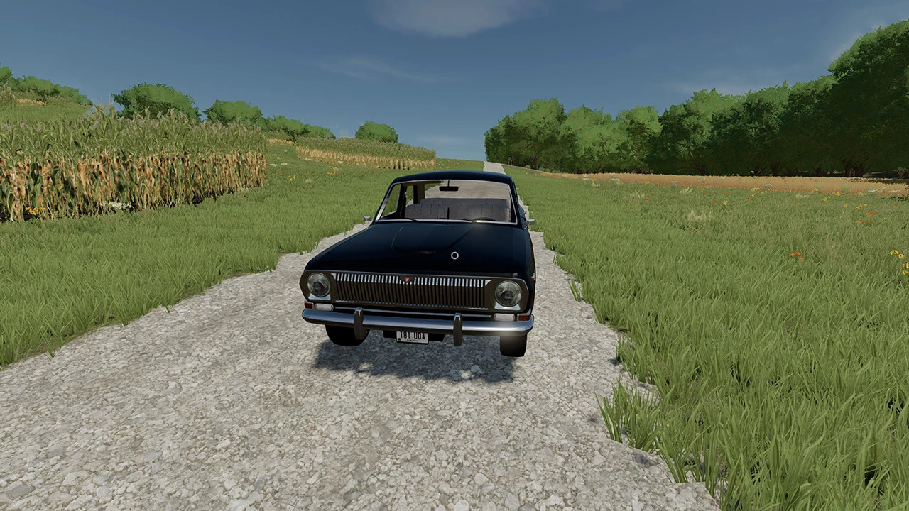 Volga GAZ 24