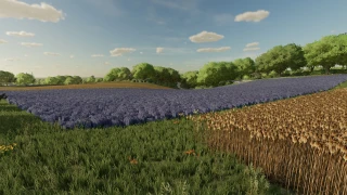 BEYLERON FARMING MULTI FRUIT MAP V3 3.0.0.0 thumbnail 13