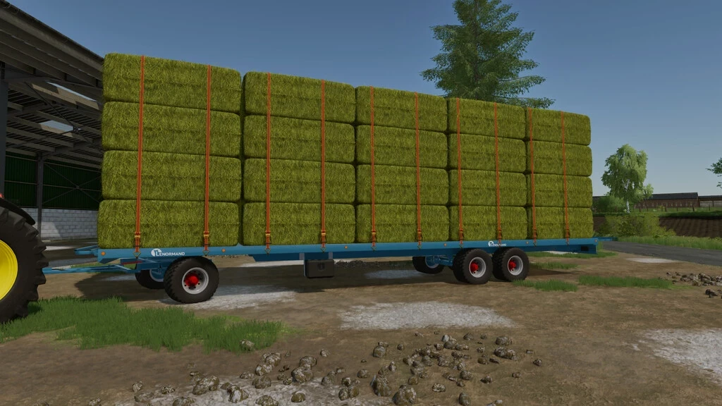 Lenormand 12m v 1.0 - FS 22