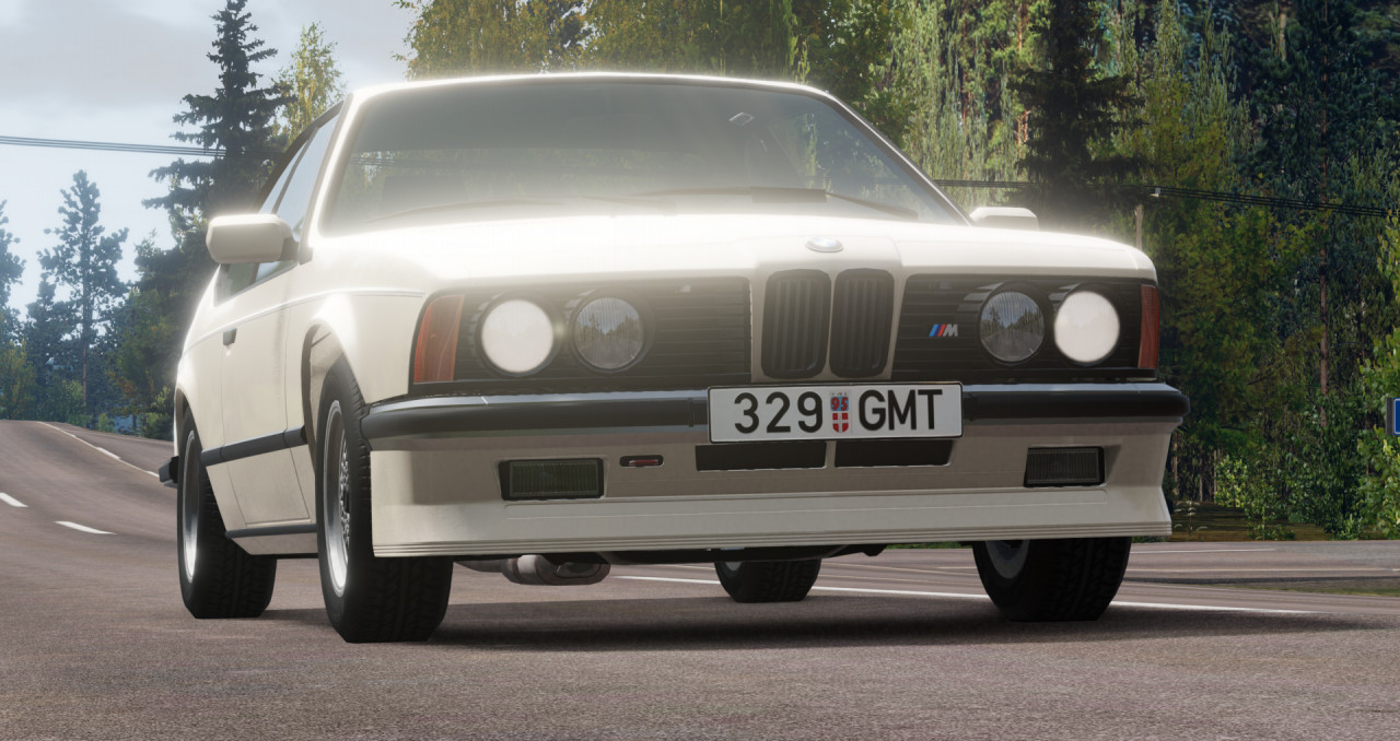 BMW E24