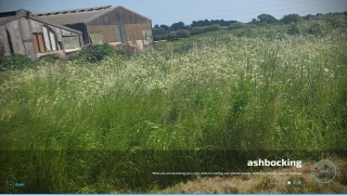 Ashbocking demo v 1.0 thumbnail 8