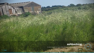 Ashbocking full release v 1.0 thumbnail 6