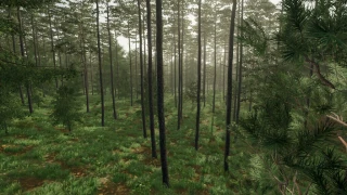 European Environment Sounds v 1.0 thumbnail 4