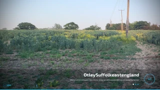 OtleySuffolkeastengland updated v 1.0 thumbnail 4