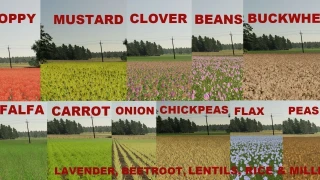 Rogatki Edit (Multifruit and Production) v 2.8 thumbnail 5