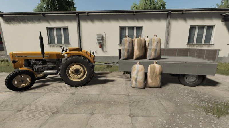 Wheat Bag