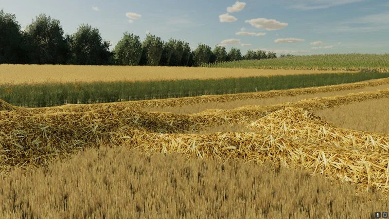 Wide swaths of straw