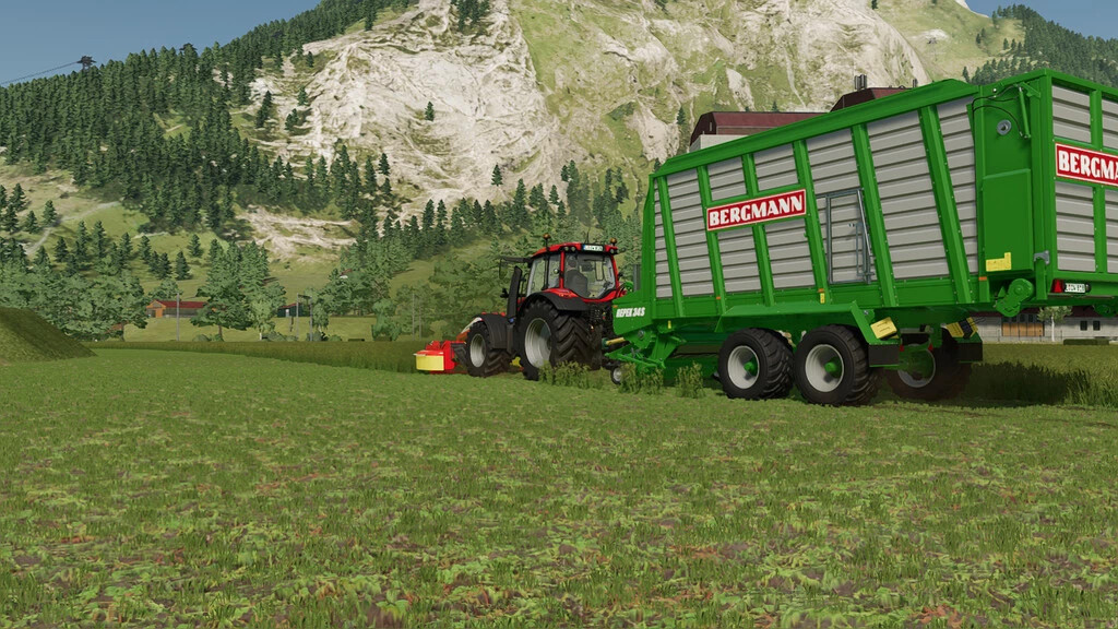 Bergmann Repex 34S
