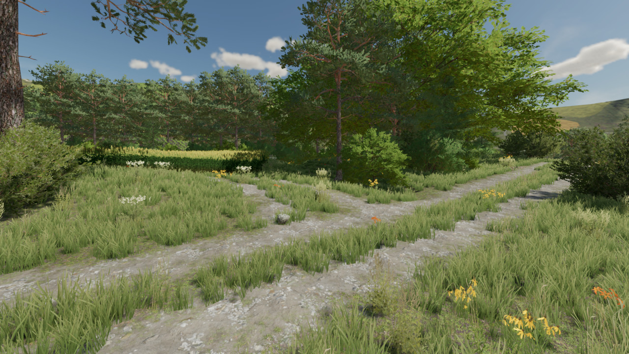 Poland Map Beta