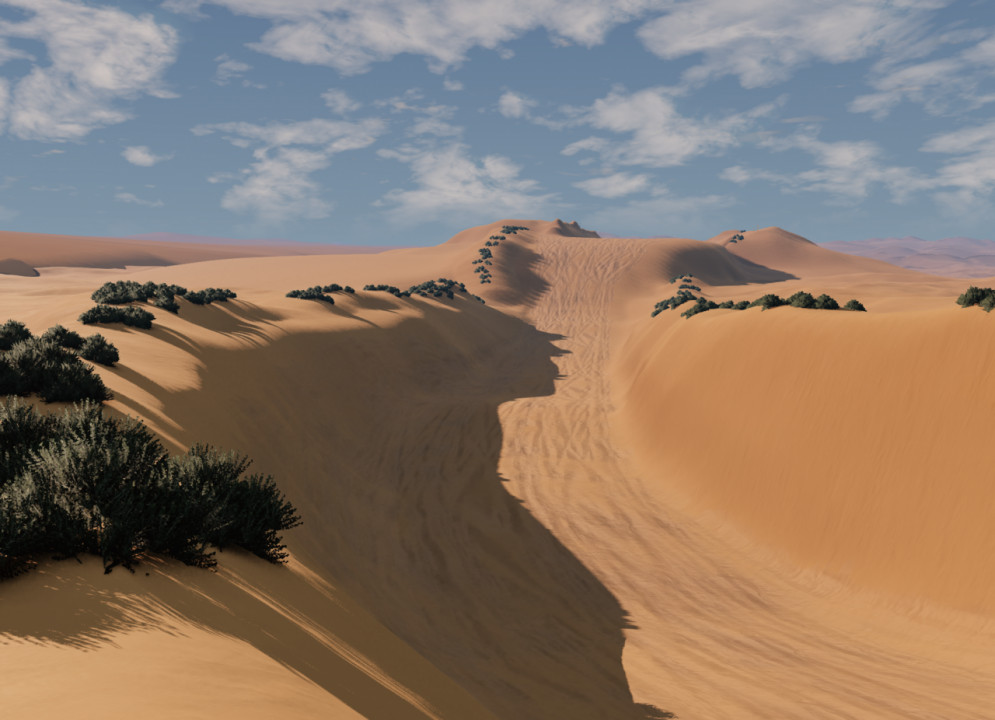 Qatar Sand Dunes ( desert like KSA & UAE) By: Acug