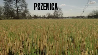Stubble Texture (Wheat/Barley) v 1.0 thumbnail 2