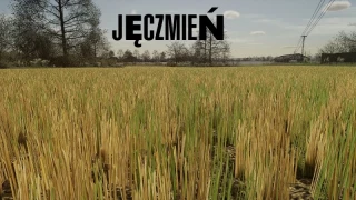Stubble Texture (Wheat/Barley) v 1.0 thumbnail 4