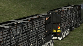 KSW Aussie Byrne Livestock 1.0 thumbnail 5