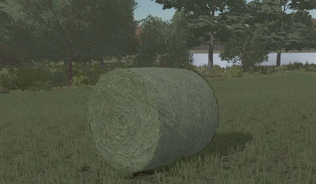 Bale Texture v 1.0