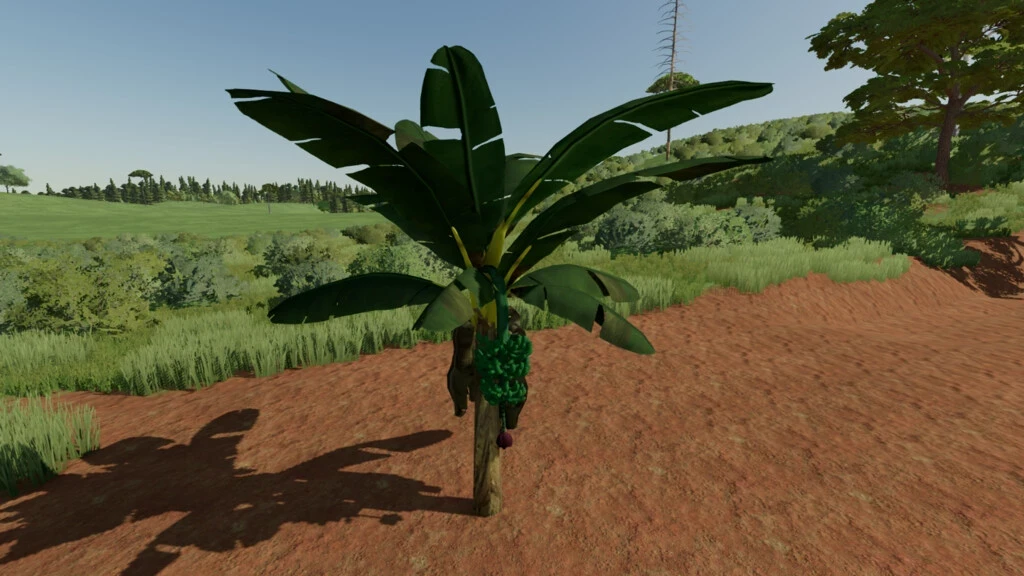 Banana Tree / FS22 mod for all platforms 