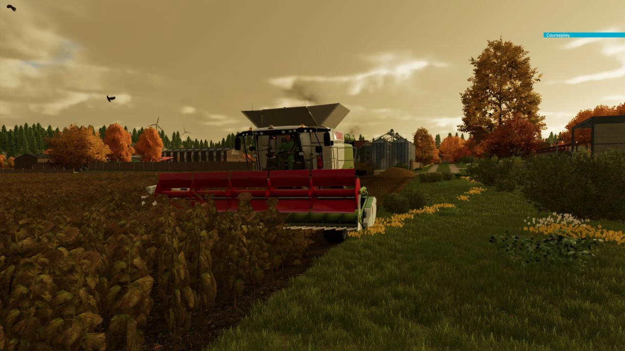 Claas C600 Sunflower BETA