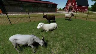 Enhanced Animal System v 2.2.3 thumbnail 5