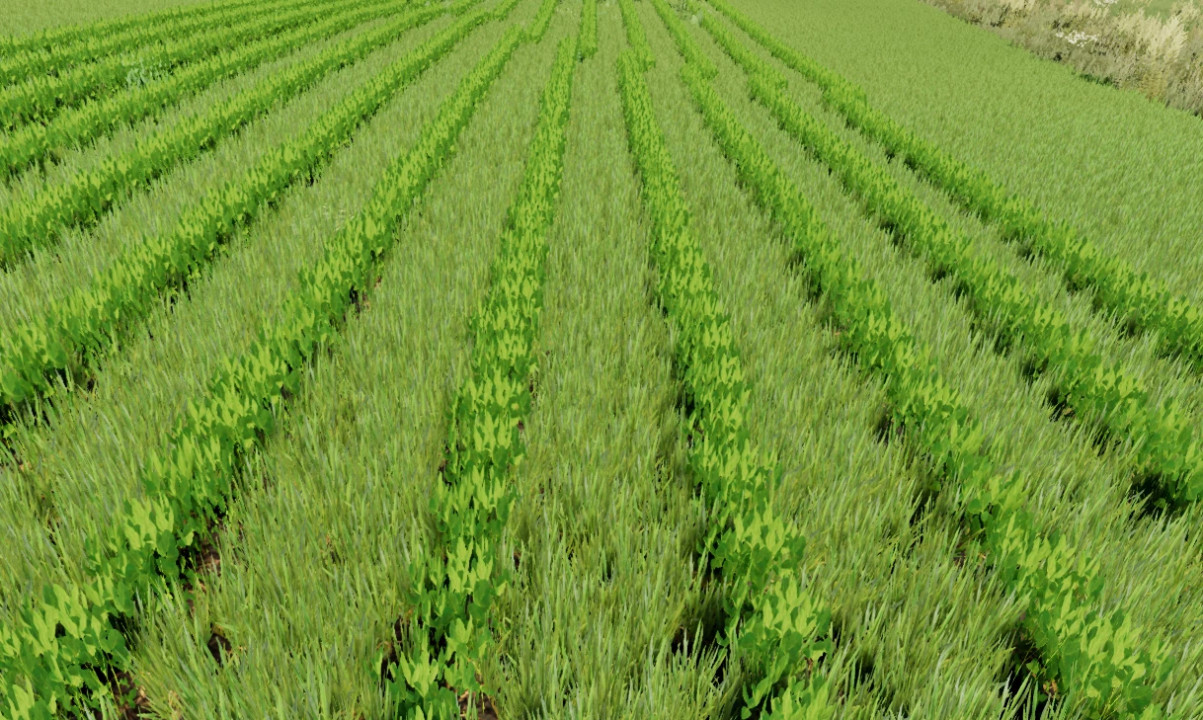 FS22 IH cyclo 800 Rowcrop Ready