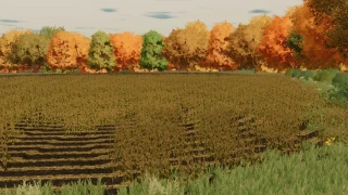 Graystone Farm (Row Crop Ready) v 1.0 thumbnail 3