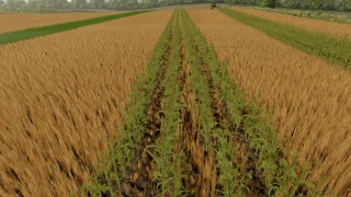 No Creek Farms Rowcrop Ready v 1.0 thumbnail 3
