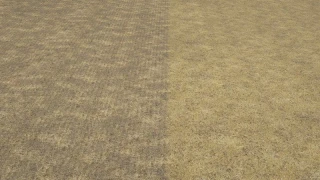 Textures of stubble and no-plow sowing after stubble v 1.0 thumbnail 2