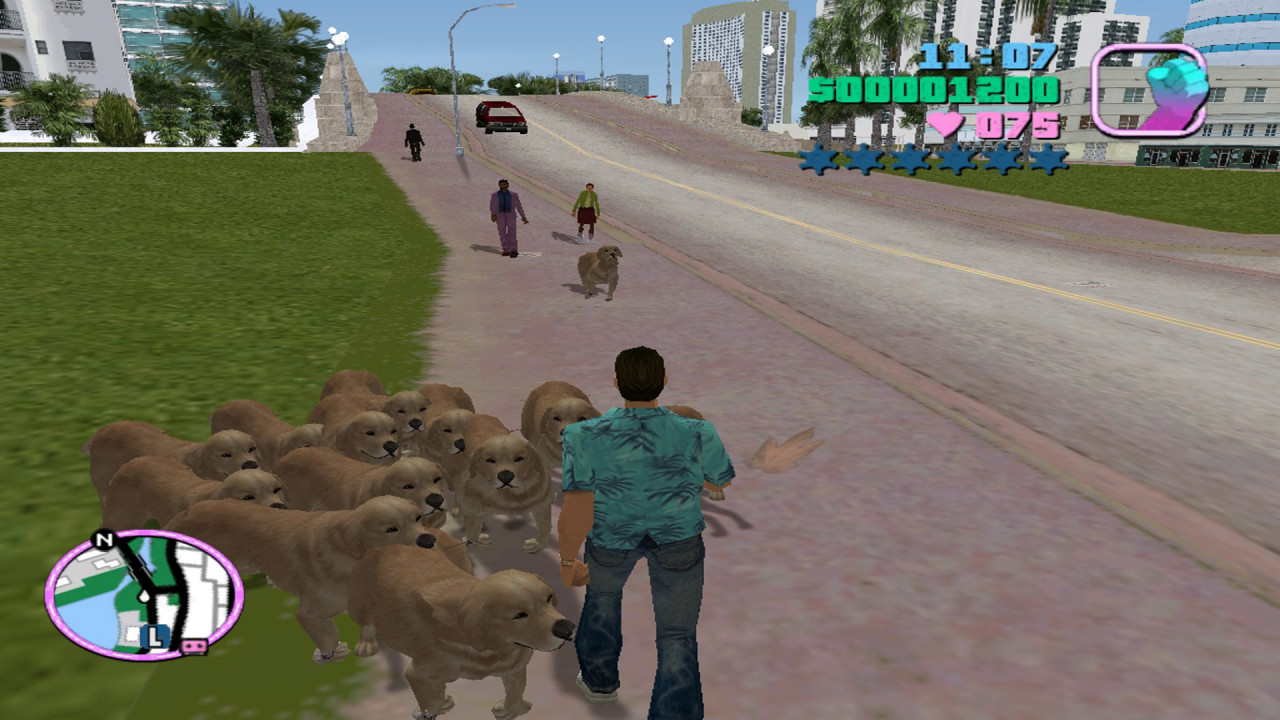 Dog