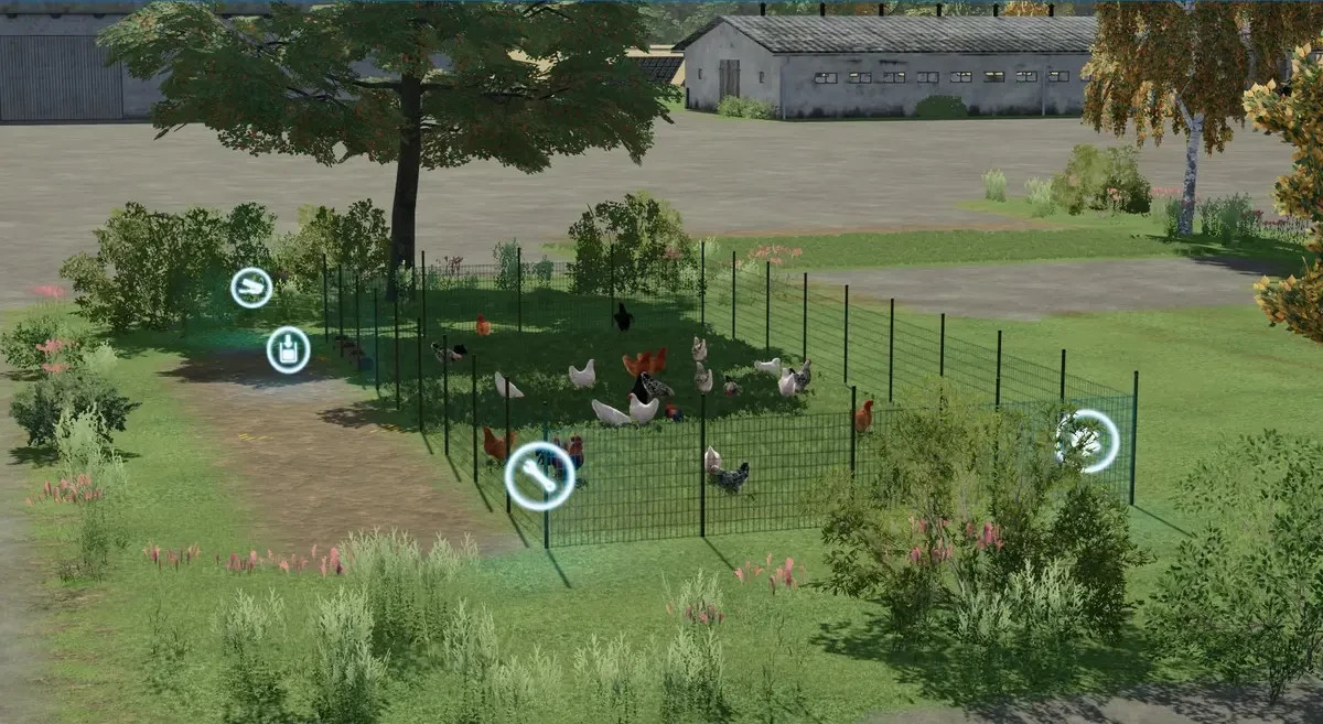 Egg distribution from chicken to direct sales or productions
