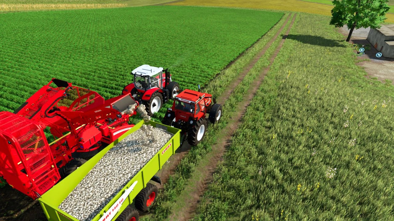 Grimme Rootster 604 Edited