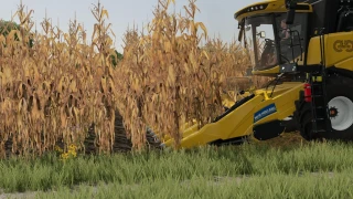 New Holland 980 CF6 v 1.0 thumbnail 4