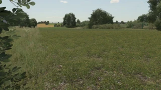 Oil Seed Radish Texture v 1.0 thumbnail 2