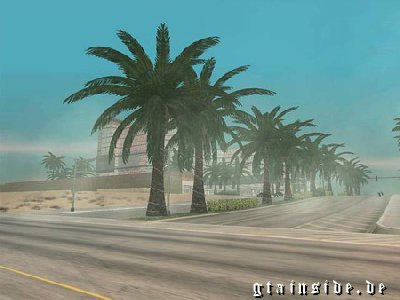 Realistic Palm Trees