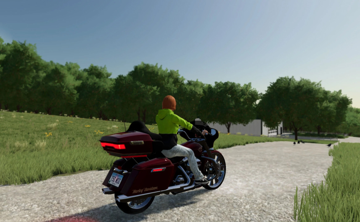 Harley-Davidson Street Glide - (Rework)