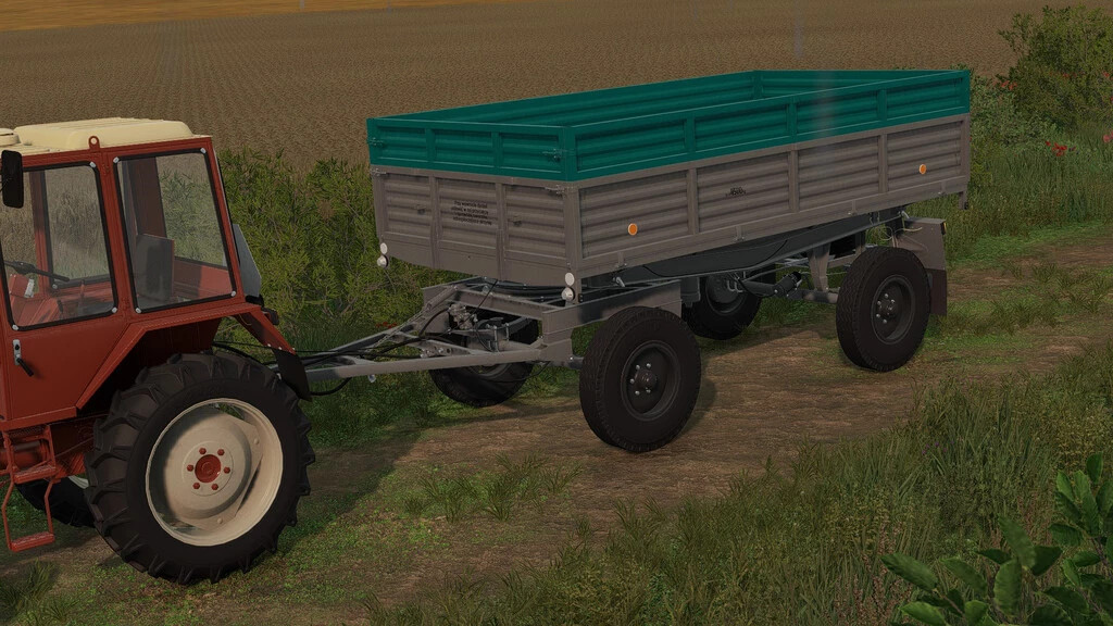 Lizard D47