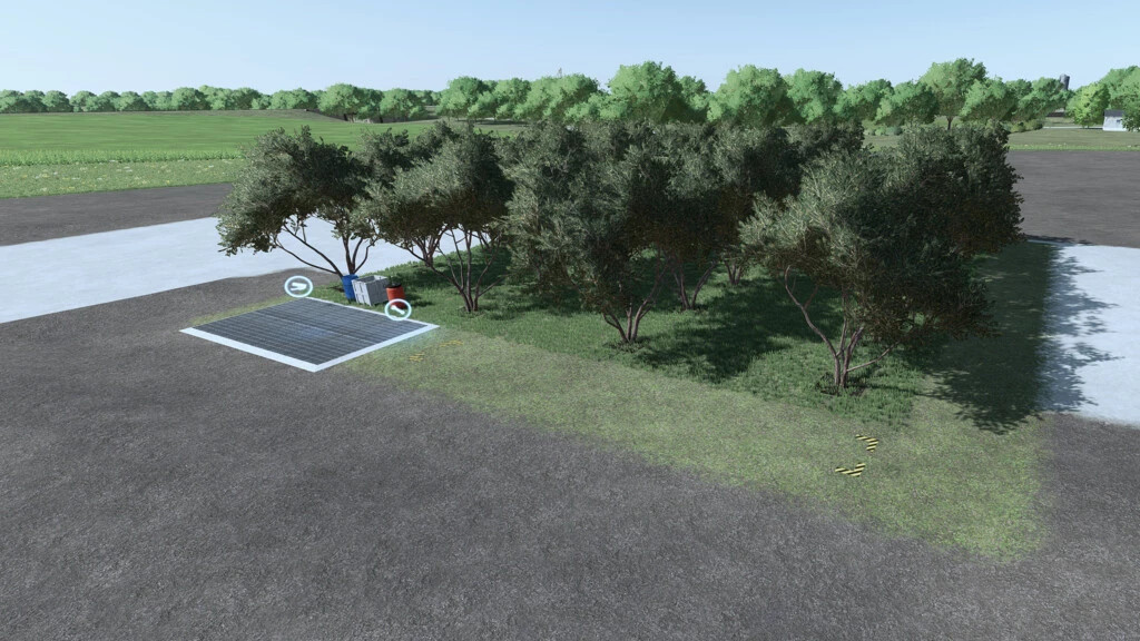 Olive Plantage