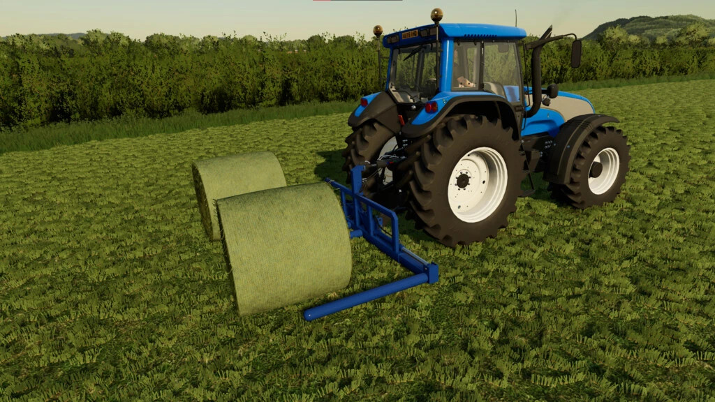 Paddle And Telescopic Bale Lifters
