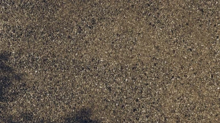 Reality Reshade Preset v 1.1 thumbnail 23