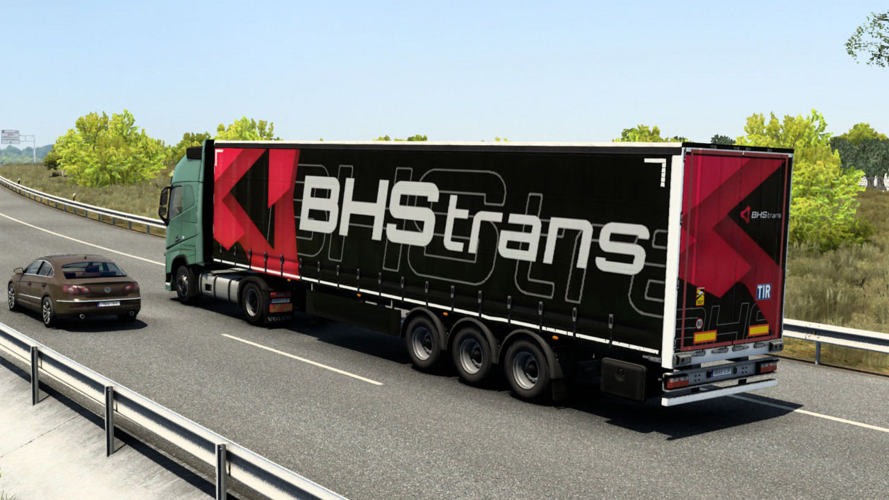 BHS Trans trailer traffic skin