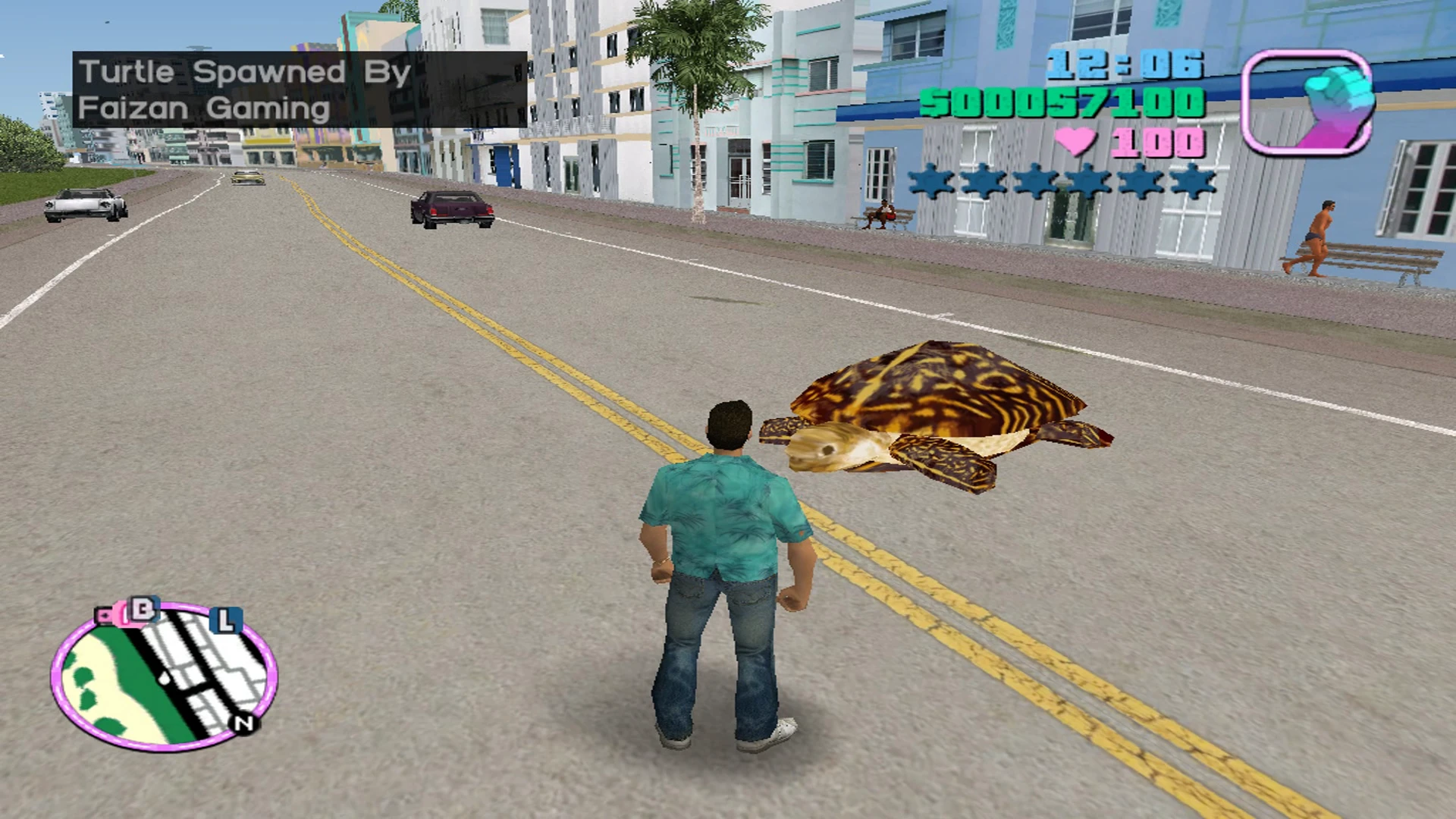 Turtle Spawner Mod 1.0 - GTA: Vice City